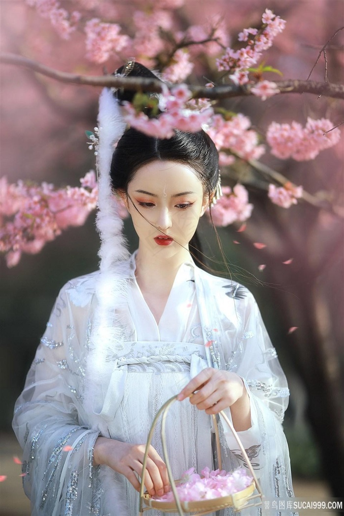 一级毛片免费不卡