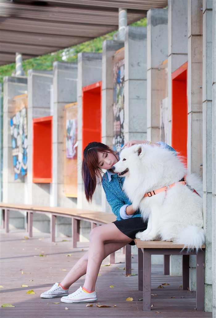 日剧将恋爱进行到底