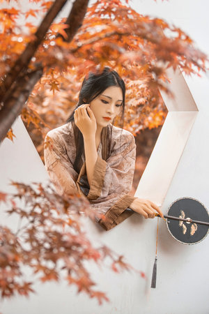 丁香花免费高清完整电影