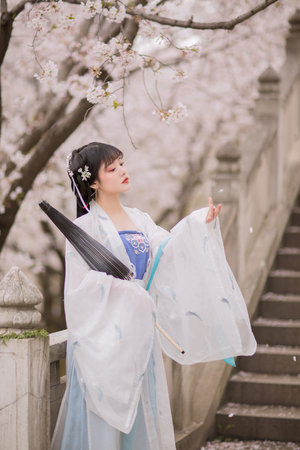 安家电视剧免费版