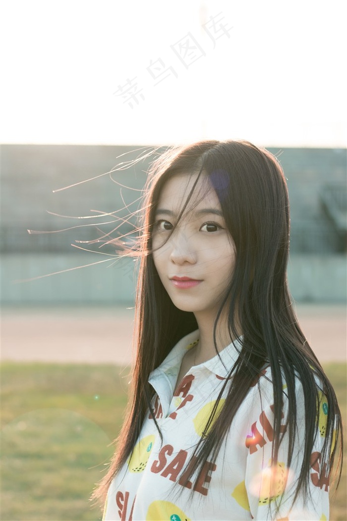 2012在线高清完整版