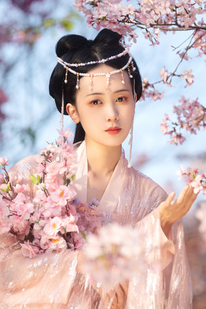 仙踪林视频入口欢迎您老狼贰佰